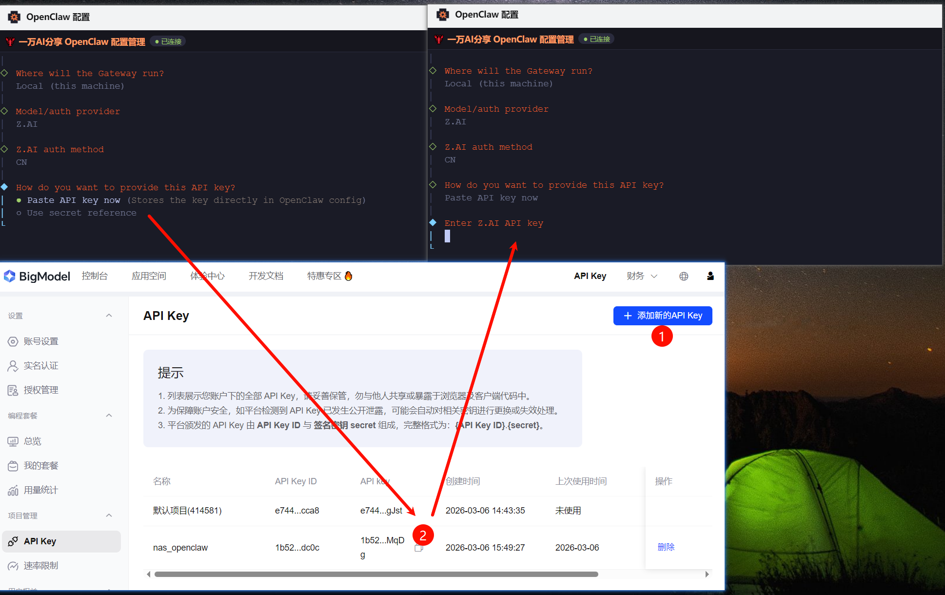 飞牛NAS系统安装Open-Claw插件配置界面截图。