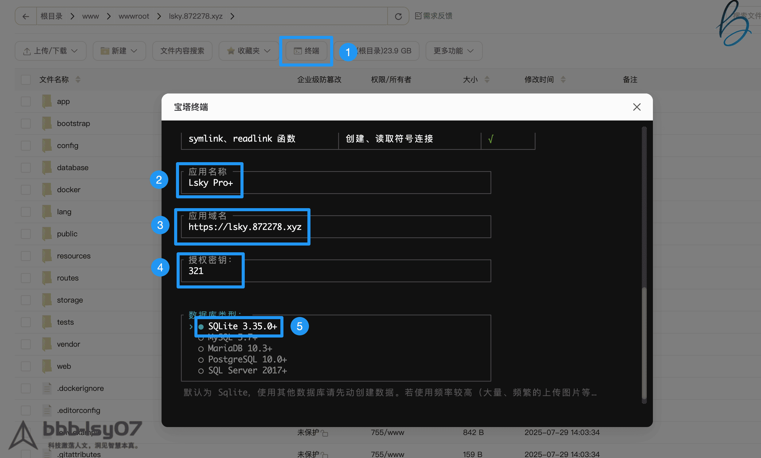 蓝天白云下的Lsky Pro开源图床网站部署教程封面图